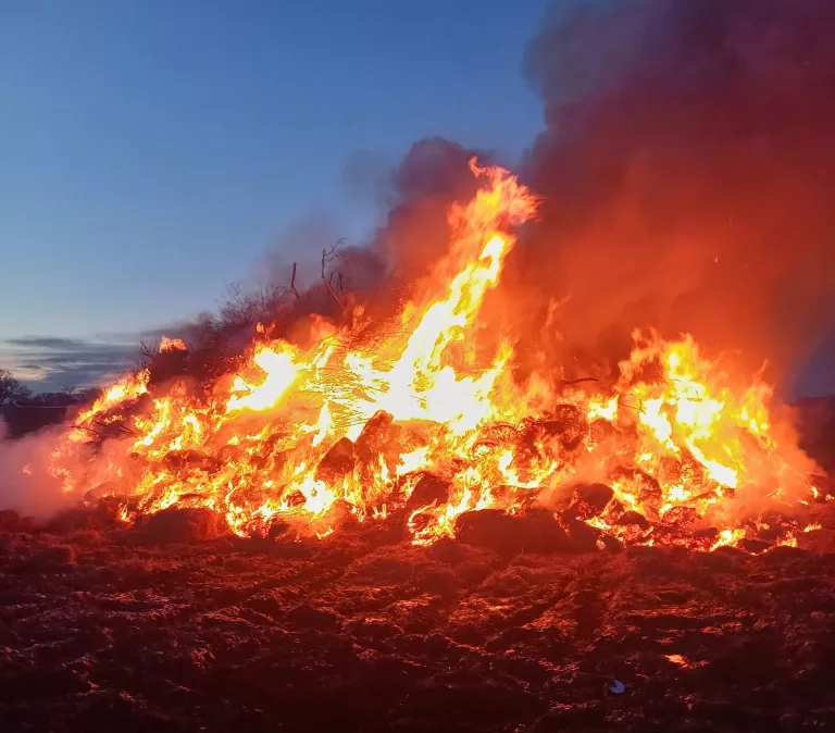 Osterfeuer brennt auf Acker